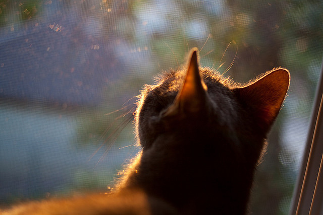 爱游戏中国-_奇才凭借防守反击，惊险过关_，奇才战况