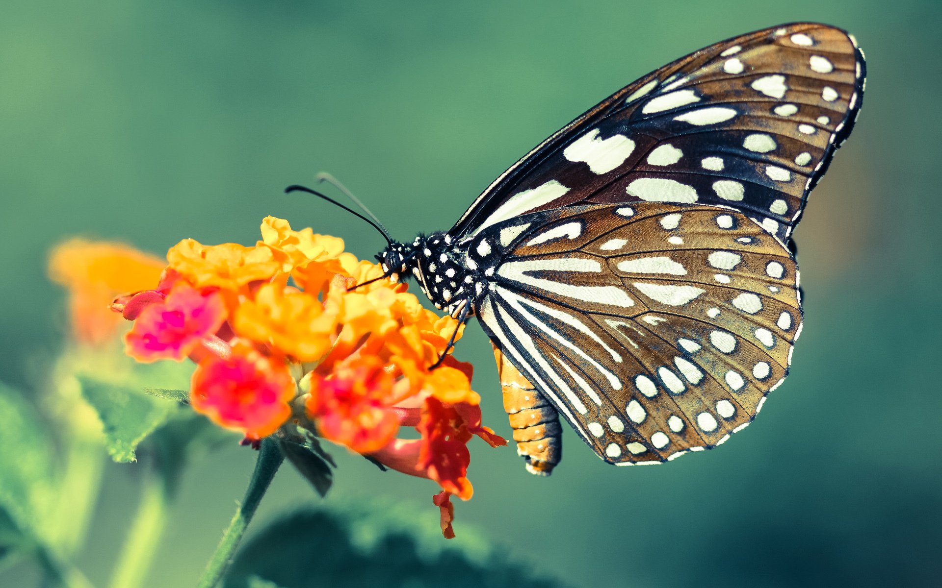 【比赛盘点】丁俊晖在高手对决中的关键攻防瞬间，丁俊晖vs